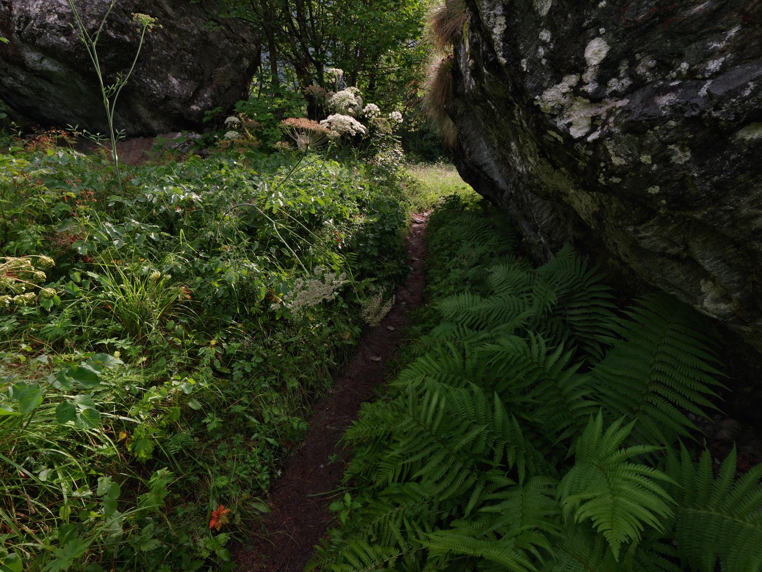 Refuge du du Clot Xavier-Blanc