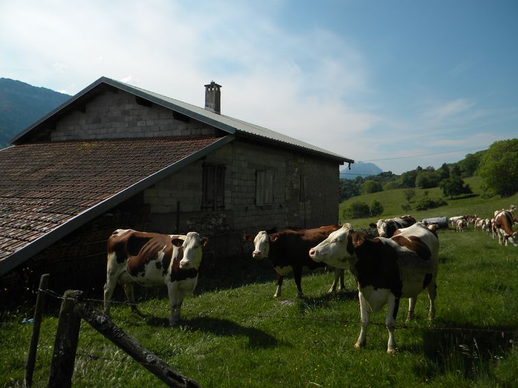 Ecart de la Bauche