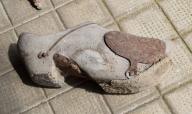 chaussure dite sabot, (de jardinier)