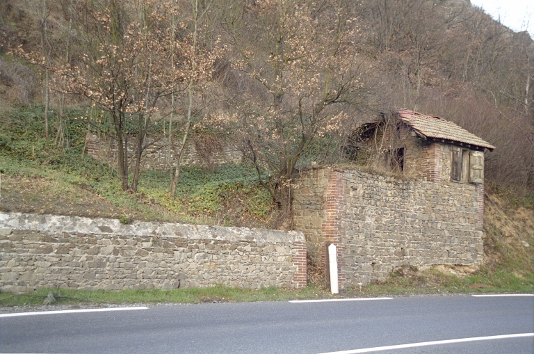 Les cabanes de vigne, dites loges de vigne, du canton de Boën et de la commune de Sail-sous-Couzan