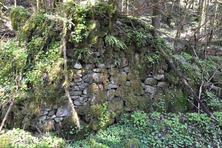 Moulin, martinet et scierie de la Chartreuse de Saint Hugon actuellement vestiges