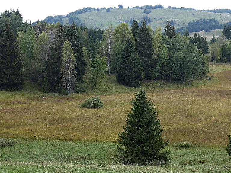 Les alpages de Saint-François-de-Sales