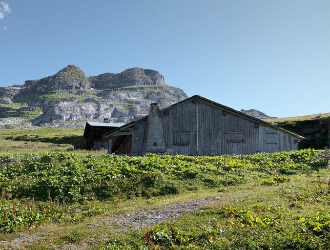 Ferme, dite chalet d'alpage d'Aujon