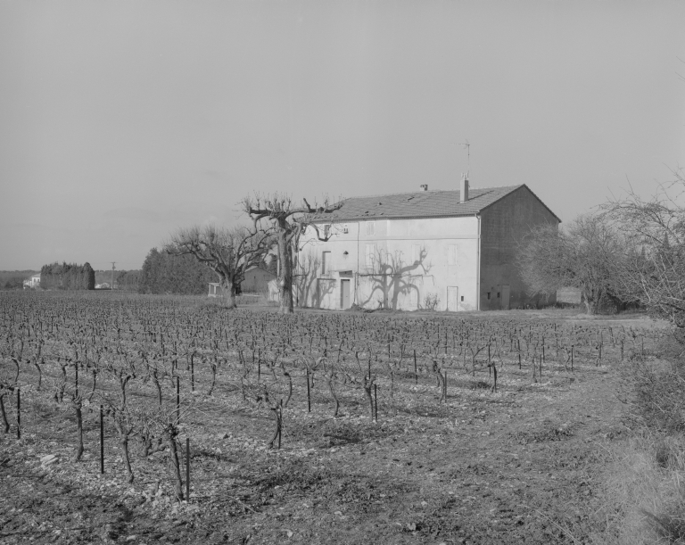 Les fermes de la commune de Saint-Pantaléon-les-Vignes