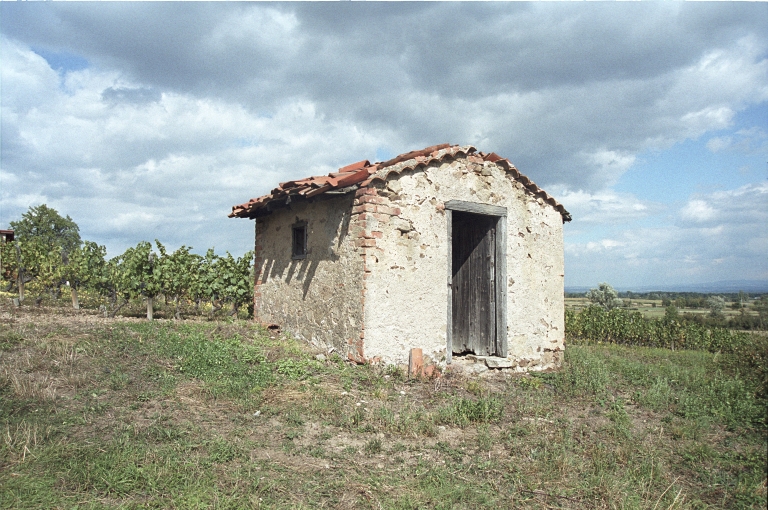 Les cabanes de vigne, dites loges de vigne, du canton de Boën et de la commune de Sail-sous-Couzan