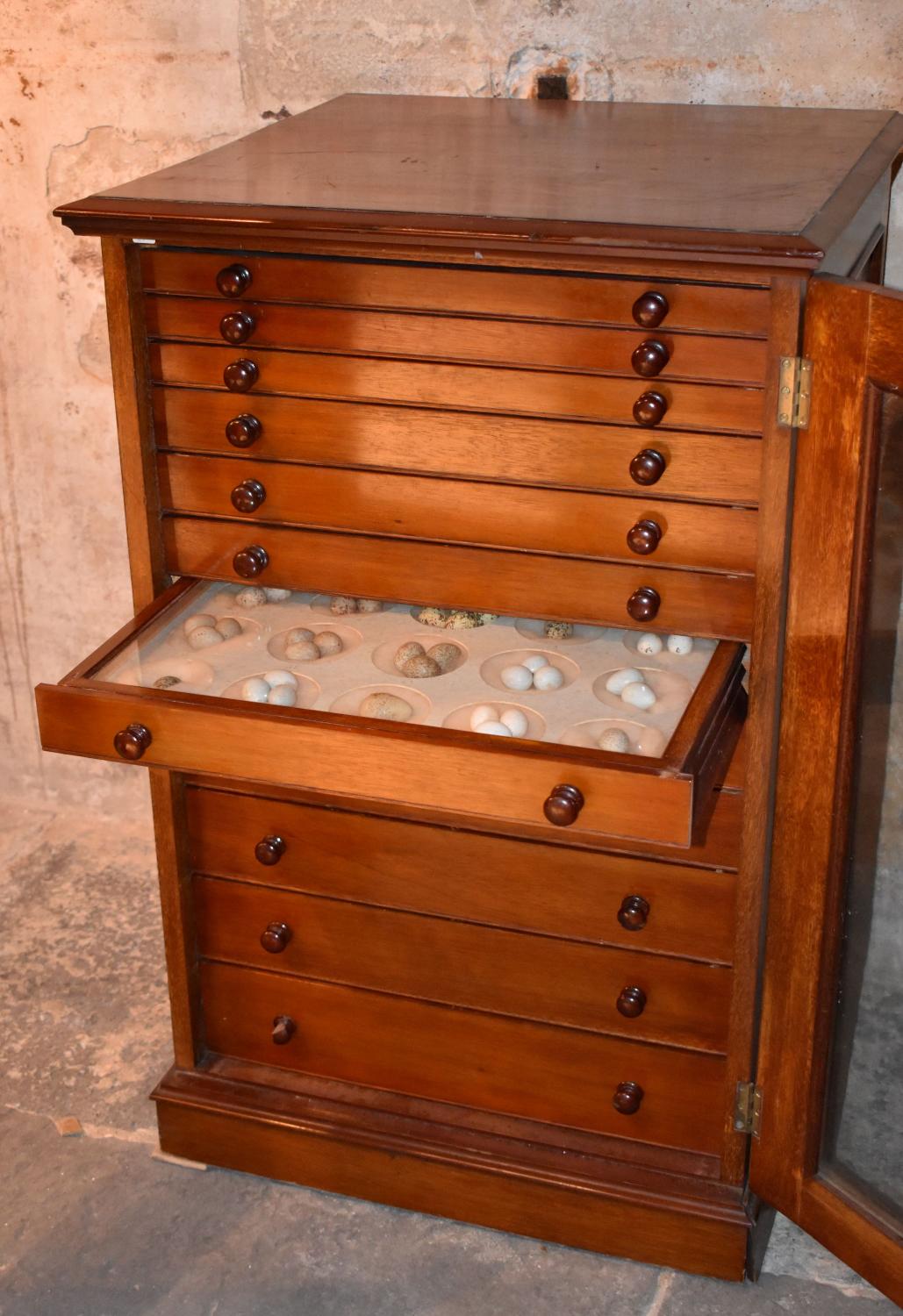 Meuble de rangement pour une collection d’œufs