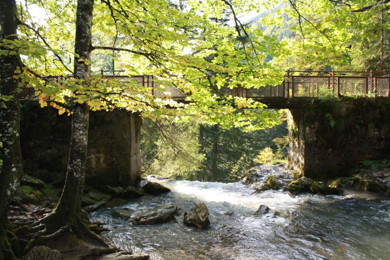 Passerelle de la cascade d'Ardent