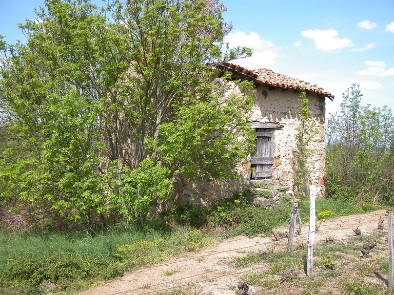 Cabane de vigneron, dite loge de vigne