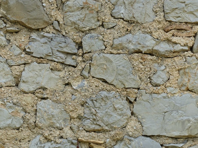 Emploi d'une pierre fossilifère dans la maçonnerie d'une ferme, quartier de Baïs.