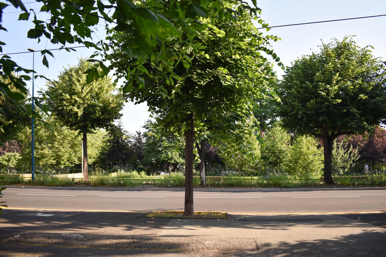 Jardin