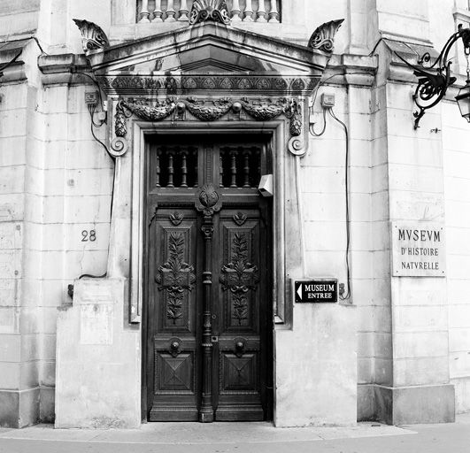 Musée Guimet ou musée des Religions puis patinoire dite Palais de Glace puis muséum d'histoire naturelle et musée Guimet, actuellement Muséum