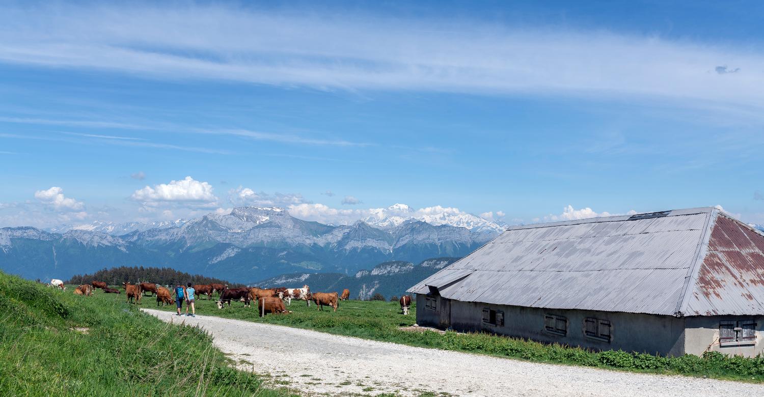 Chalets de Leschaux