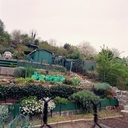 Anciens jardins ouvriers de la Rhodiaceta entre Gorge de Loup et Loyasse