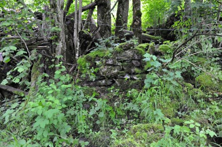 Moulin à farine et battoir de la Touvière actuellement vestiges