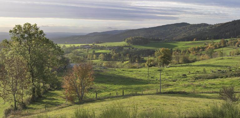 Paysage aux environs du hameau de Conol (Verrières-en-Forez).