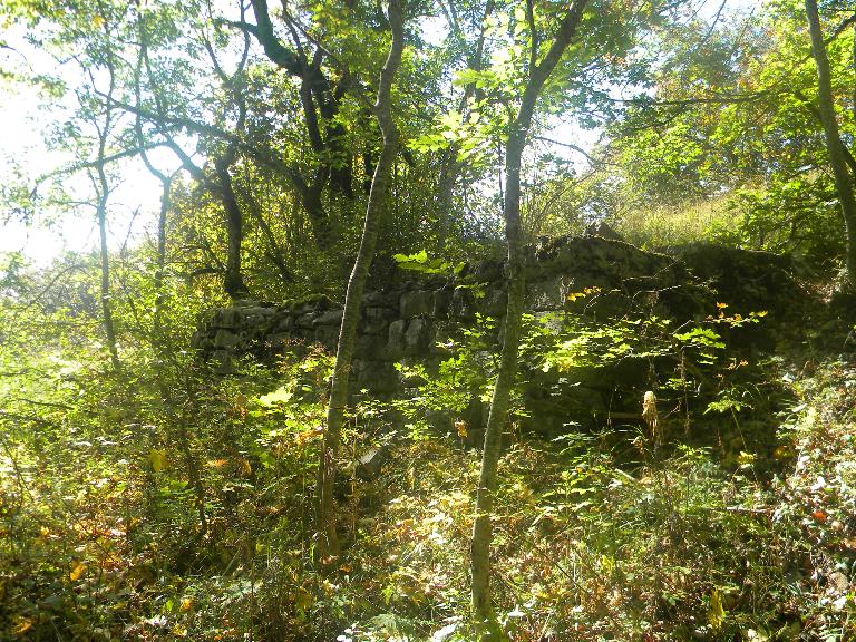 Granges de Morbier (vestiges)