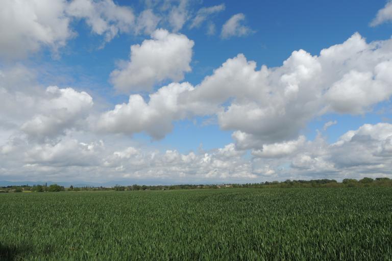 Présentation de la commune de Savigneux