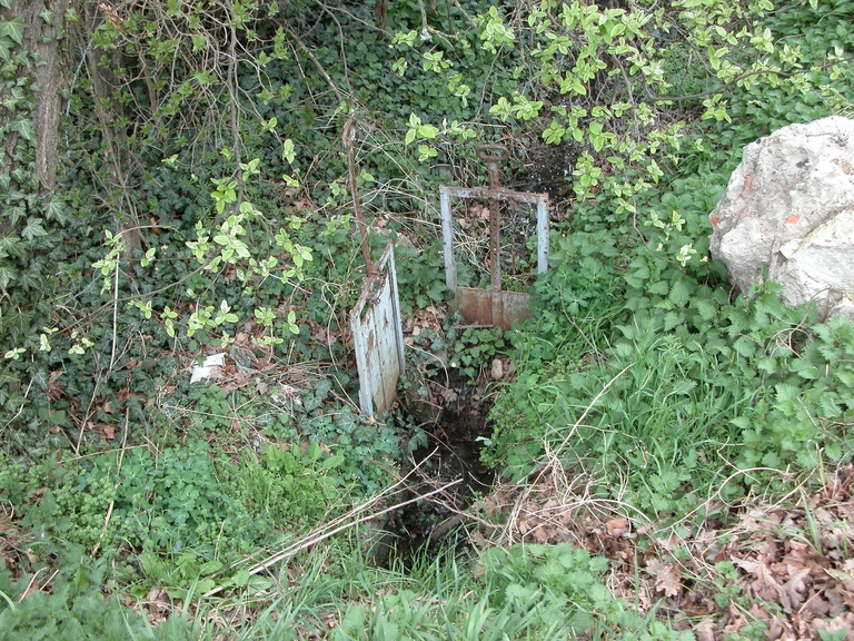 Présentation de la commune de Savigneux