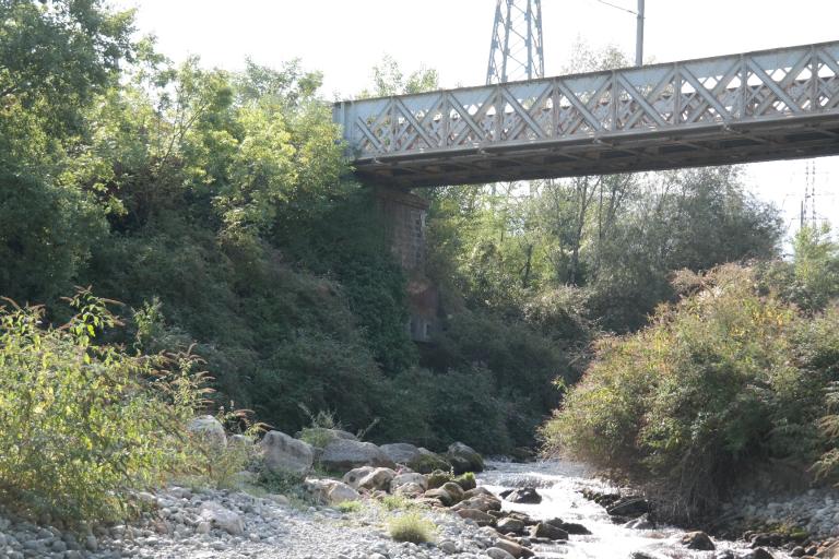 Pont ferroviaire de Vongy