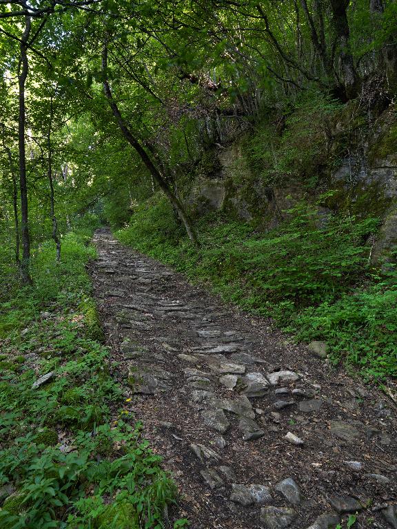 Les alpages de la commune d'Allèves