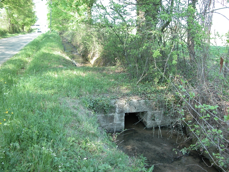 Présentation de la commune de Savigneux