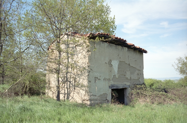 Les cabanes de vigne, dites loges de vigne, du canton de Boën et de la commune de Sail-sous-Couzan