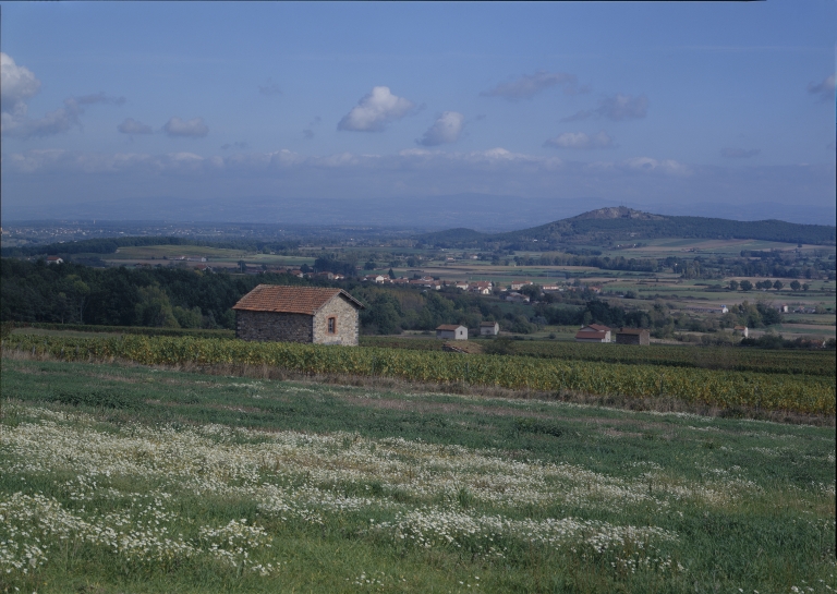 Les cabanes de vigne, dites loges de vigne, du canton de Boën et de la commune de Sail-sous-Couzan