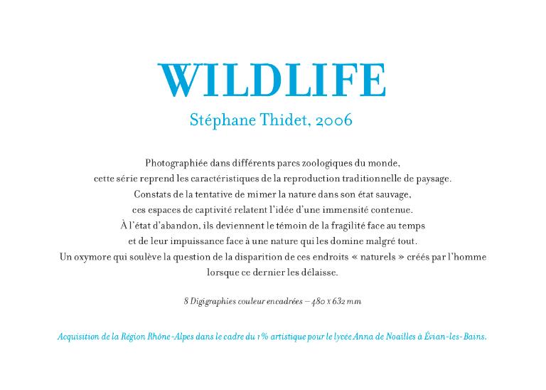 Ensemble de 8 photographies (digigraphies) : Série Wild life