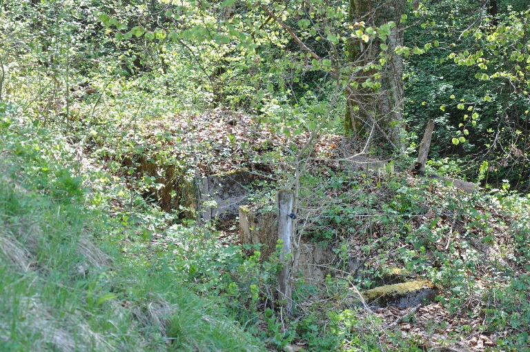 Moulin dit Battoir de la Bottaz