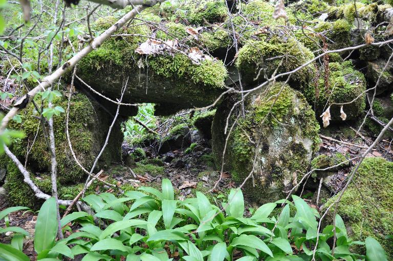 Moulins à farine et battoir du Mouchet actuellement vestiges