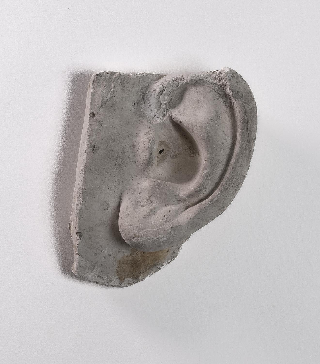 Haut-relief : Oreille gauche