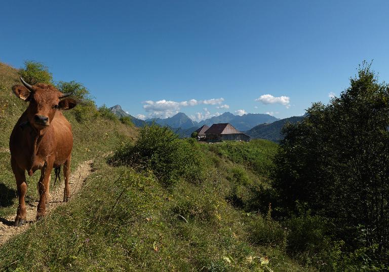 Inventaire du patrimoine du Parc naturel régional du Massif des Bauges