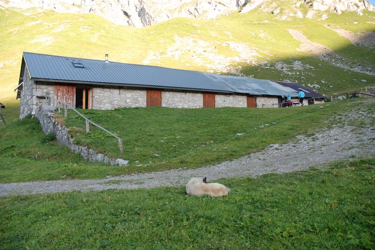 Chalets d'Orgeval