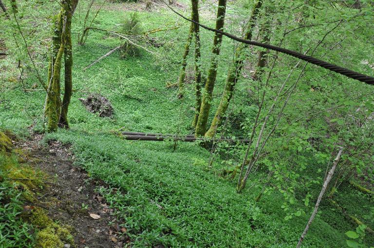 Moulin à farine Martin (détruit)