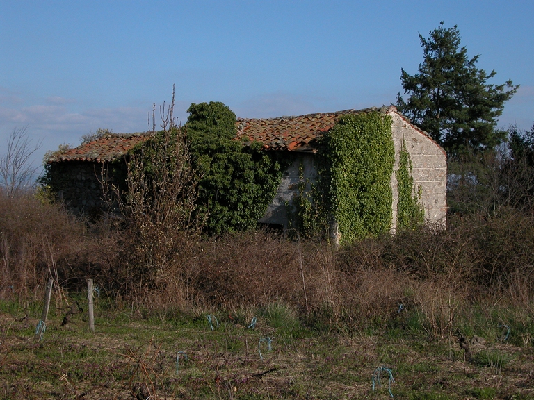 Cabane de vigneron, dite loge de vigne