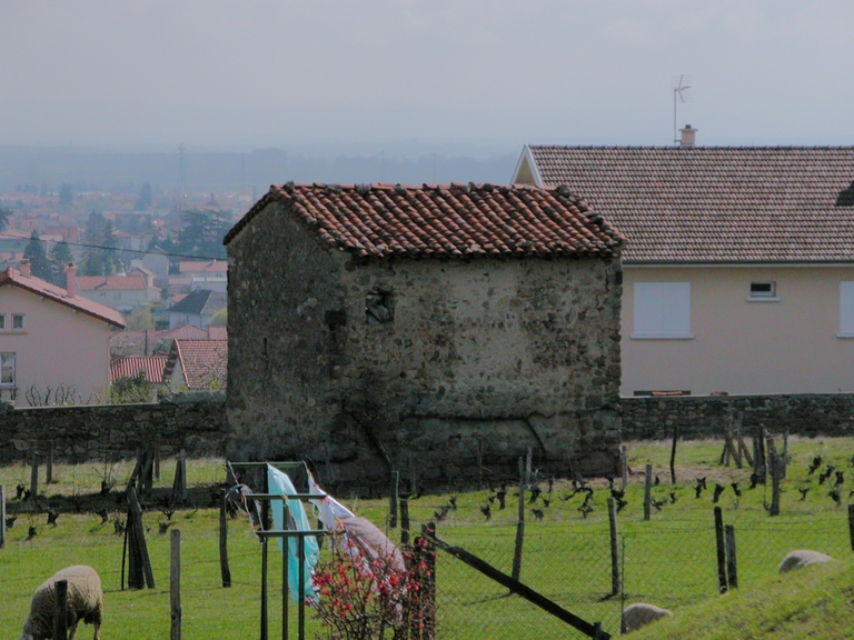 Cabane de vigneron, dite loge de vigne