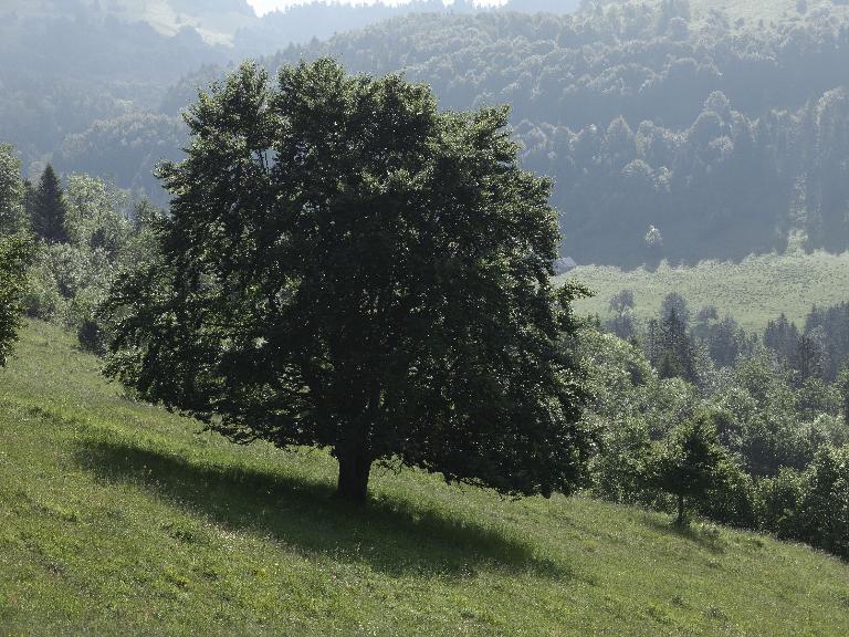 Les fermes, mazets et chalets d'alpage des Hauts de l'Albanais