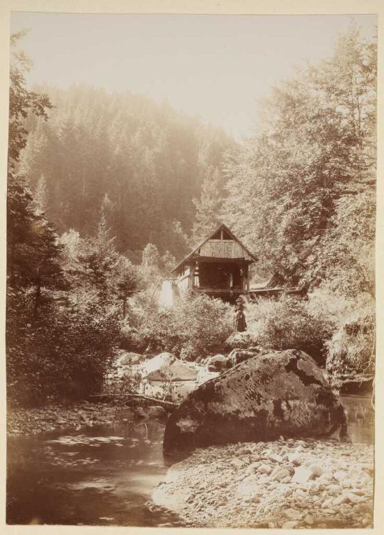 Pont couvert en bois de Bellevaux, dit pont piétonnier des Places