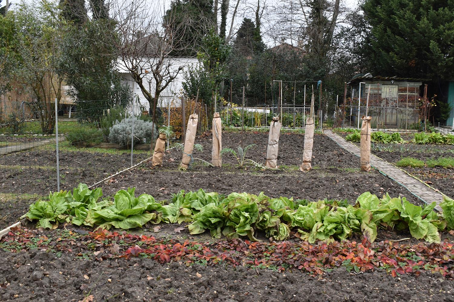 Jardins ouvriers de la Rize