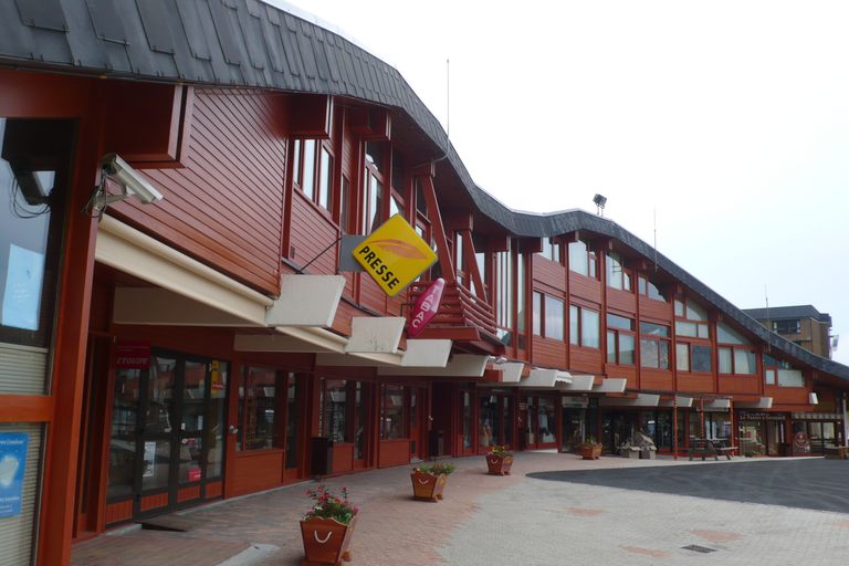 Galerie marchande ; établissement administratif : Centre administratif et commercial le Forum