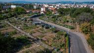Jardins ouvriers puis familiaux de Chambovet dit section clos de Montchat