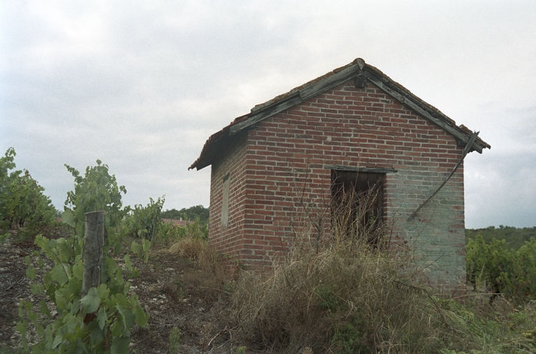 Les cabanes de vigne, dites loges de vigne, du canton de Boën et de la commune de Sail-sous-Couzan