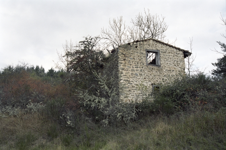 Les cabanes de vigne, dites loges de vigne, du canton de Boën et de la commune de Sail-sous-Couzan