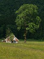 Chalet d'alpage