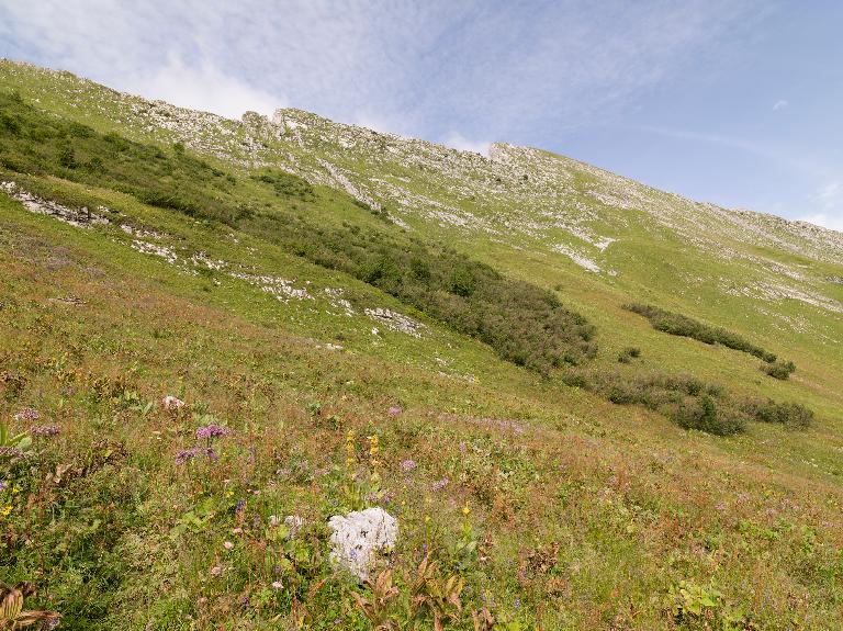 Les alpages de l'Arclusaz