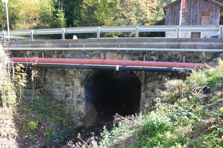 Pont du Petit Nant