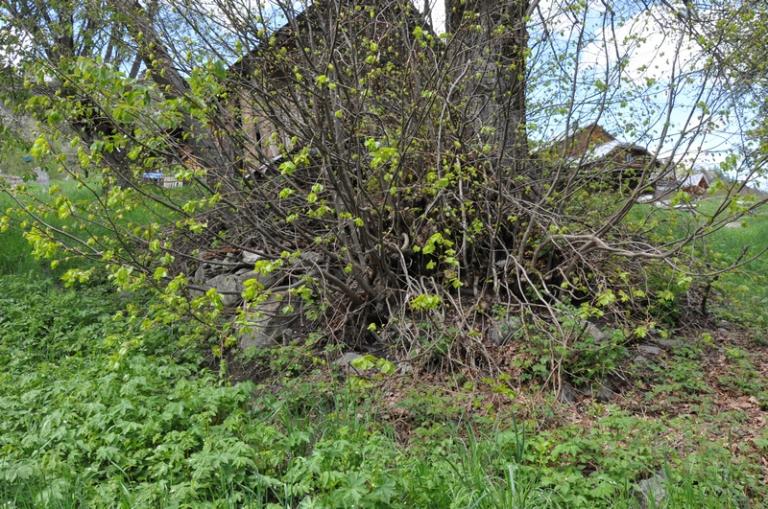 Moulin à farine Muraz amont actuellement vestiges