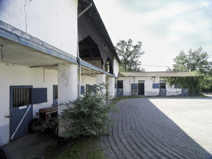 Ferme de Villeneuve, élevage de chevaux de course