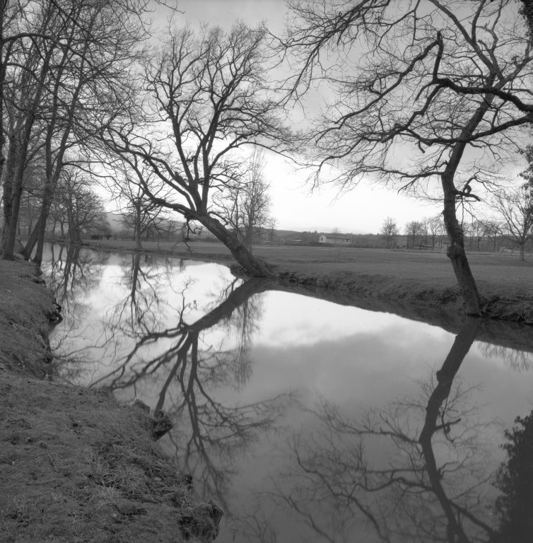 Canal de jardin du château de Beauvoir