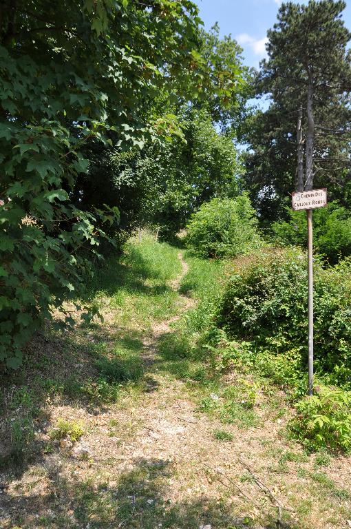 Chemin des Cailloux Ronds